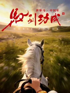 马到功成综艺海报