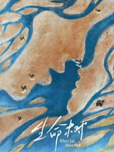 ����������ȫ��