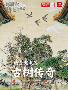 �����ϱ�������������������ȫ��