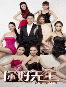 你好先生2012综艺海报
