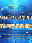 第十二届中国大学生电视节开幕盛典暨放飞梦想青春歌会综艺海报