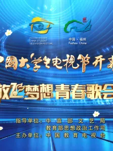 第十二届中国大学生电视节开幕盛典暨放飞梦想青春歌会综艺海报
