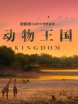 动物王国 配音版综艺海报