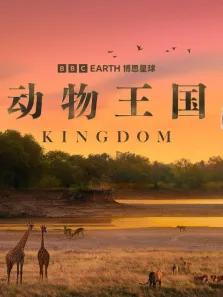 动物王国 配音版综艺海报