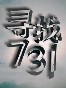寻找731综艺海报