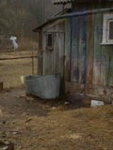 ����С��������ά������ȫ��