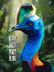色彩星球综艺海报