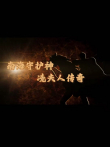 南海守护神:冼夫人传奇综艺海报