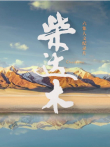 柴达木综艺海报