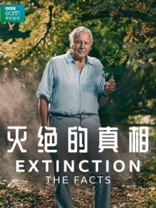 �������������ȫ��