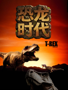 ����ʱ������ȫ��