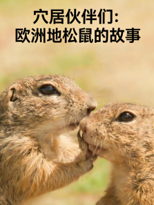 Ѩ�ӻ����-ŷ�޵�����Ĺ�������ȫ��