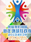 湖北卫视2013跨年晚会综艺海报