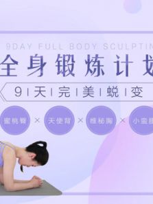 ��ȫ�������ƻ� 9�������ɱ䣩 ������ ��ʹ�� ά���� С����