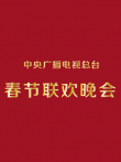 2010央视春晚综艺海报