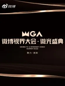 微博视界大会综艺海报