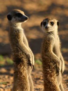 ���Bׯ԰��1������ȫ��