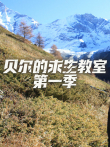 贝尔的求生教室 第1季综艺海报