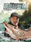 追踪巨型鱼 第4季 中文版综艺海报