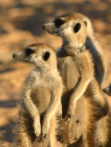 ���Bׯ԰��2������ȫ��