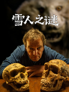 ѩ��֮������ȫ��