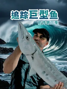 追踪巨型鱼前传 第3季综艺海报