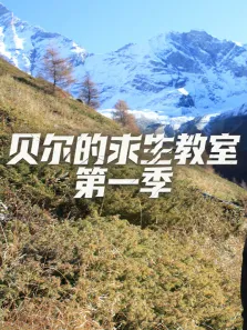 贝尔的求生教室 第1季综艺海报