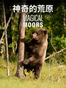 ����Ļ�ԭ����ȫ��