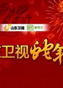 ɽ������2013����