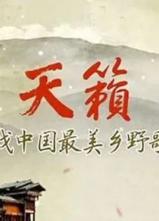 寻找中国最美乡野歌声综艺海报
