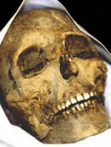 �����ĸ�����ͷ��ľ��������ȫ��