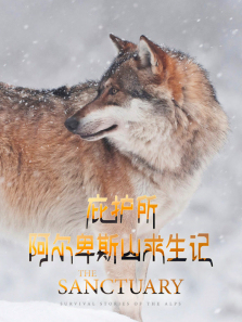 �ӻ���������˹ɽ����������ȫ��