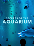 水族馆的奥秘综艺海报