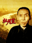 杜月笙综艺海报