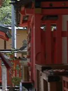 日本之旅综艺海报
