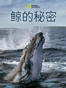 �������ܵ�1������ȫ��