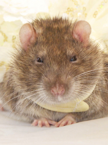 ������������2������ȫ��