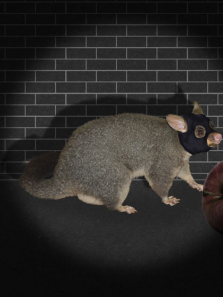 ������2������ȫ��