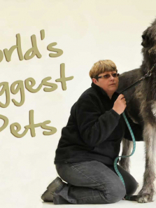 ���������ĳ�������ȫ��