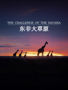 ���Ǵ��ԭ����ȫ��