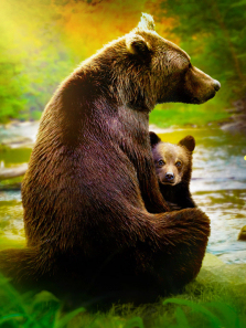 �������ɼ����İ�����ȫ��