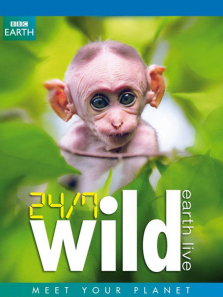 ȫ���Ұ������׷������ȫ��