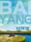 白洋淀综艺海报