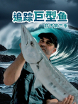 追踪巨型鱼前传配音版 第3季综艺海报