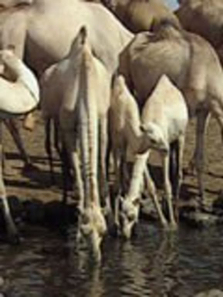 �������������������ȫ��