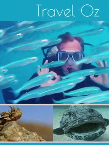 ������������ȫ��