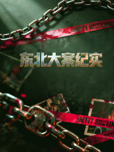 东北大案纪实综艺海报