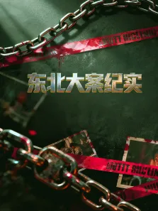 东北大案纪实综艺海报