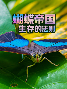 �����۹�����ķ�������ȫ��
