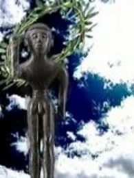 �Ŵ����˻�